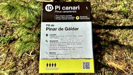 Exposición 'Tals pares, tals fills' en Sant Celoni.