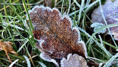 Helada en Sant Martí d’Albars.