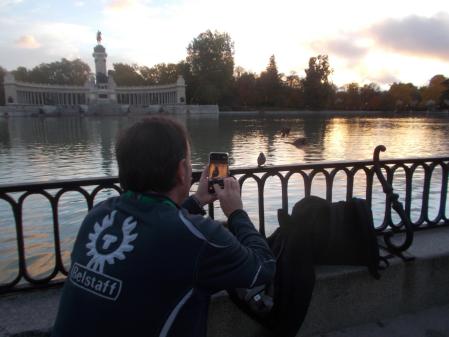 Gorrión posando para la foto.