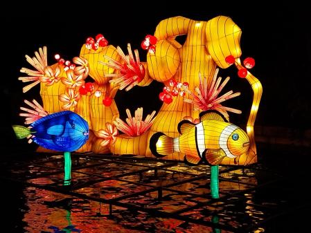 Peces en el zoo iluminado de Madrid estas navidades