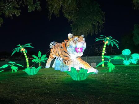 Un leopardo en la selva recreada en Brilla Zoo Madrid
