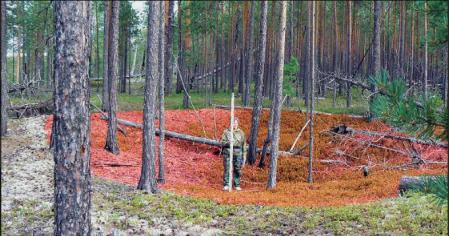 Restos de antiguas estructuras en Amnya revelan los vestigios de casas semienterradas