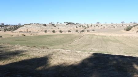 Otoño en los campos del Urgell.