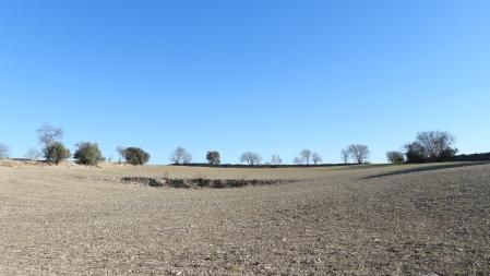 Otoño en los campos del Urgell.