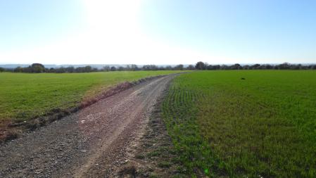 Paisaje de Altet desde el camino de La Figierola.