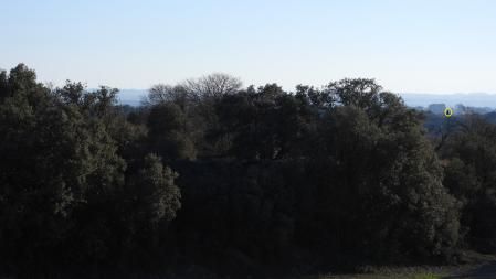 Solución al Reto visual del aguilucho.