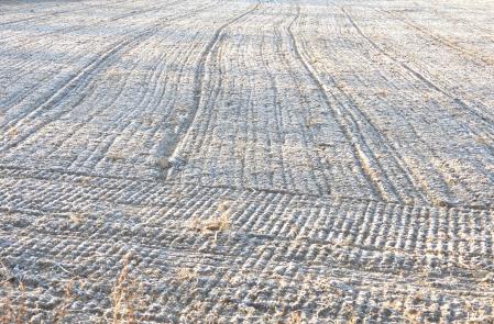 Helada en el río Ges.