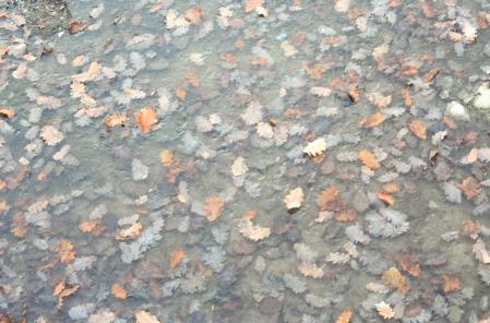 Helada en el río Ges.