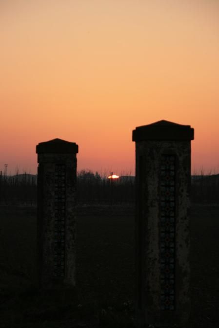 Evolución del orto en el Tarròs.