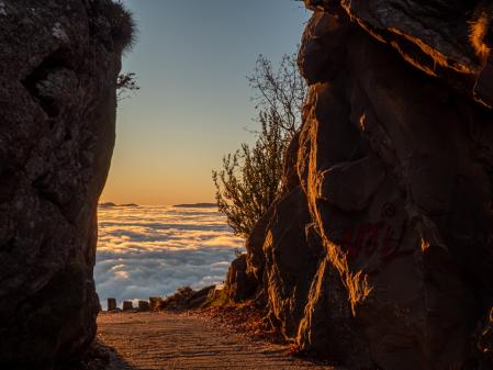 Entrada al horizonte de niebla de Bellmunt.