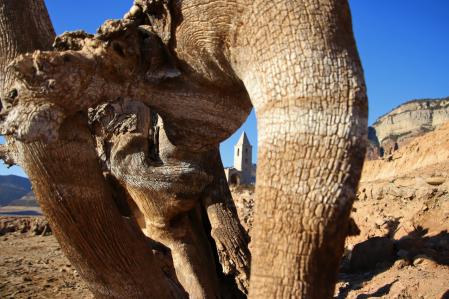 La sequía se hace evidente en Sau.