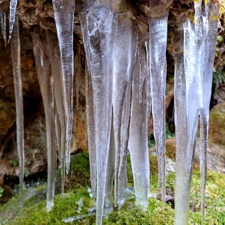 Carámbanos de hielo en la la Riera de Marfà.