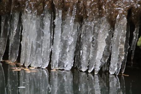 Helada en el Gorg de la Truja.
