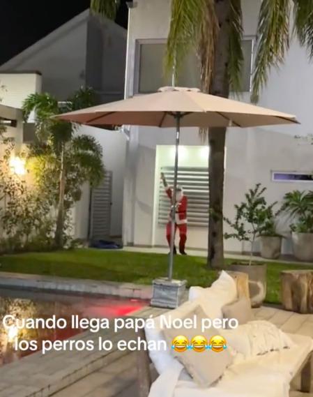 Se viste de Papá Noel para sorprender a su familia pero los perros le atacan