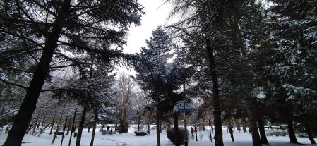 Invierno en el lago de Puigcerdà.