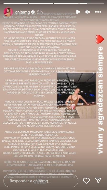 Anita Matamoros, tras el horrible accidente de su perro: 