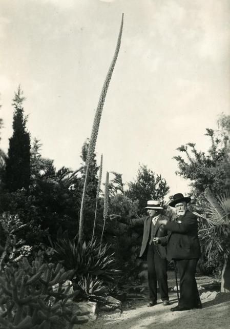 Malgrat la seva intensa activitat com a metge i polític, l’autèntica passió de Joan Solé i Pla eren les plantes. En aquesta instantània apareix, a la dreta de la foto, al jardí botànic Marimurtra de Blanes amb el seu fundador Carl Faust, contemplant uns parterres amb cactàcies i plantes crasses. Molt possiblement la foto la va fer un tercer botànic, amic dels protagonistes i bon fotògraf, Josep Cuatrecasas a la primavera de 1936
