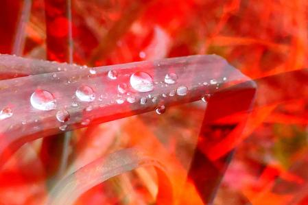Reflejos de gotas de la lluvia.
