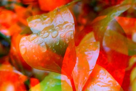 Reflejos de gotas de la lluvia.