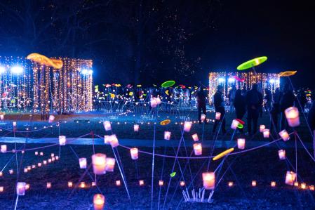 la Fiesta de las Luces en Lyon