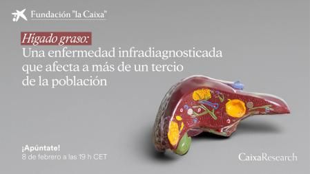 Debate 'Hígado graso: Una enfermedad infradiagnosticada que afecta a más de un tercio de la población'