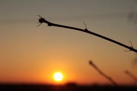 Atardecer anaranjado en el Urgell.