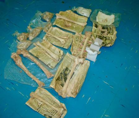 Restos humanos encontrados en la Tumba I