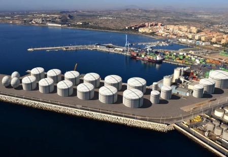 Recreación virtual realizada por la Plataforma por un Puerto Sostenible de lo que sería el proyecto completo.