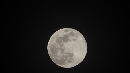 La luna llena del lobo.