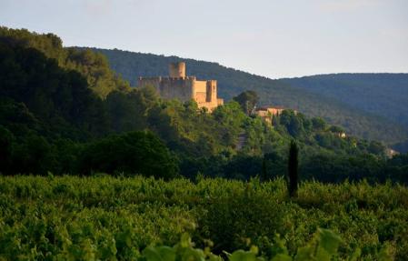 Vista del castillo desde los viñedos cercanos del Penedès.