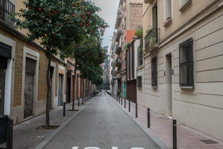 El vergel de la calle Sant Agustí de Gràcia.