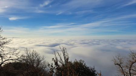 Mar de niebla luciendo en Bellmunt.