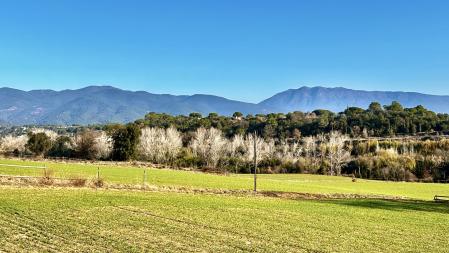 Campos verdes en Cardedeu.