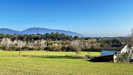 Campos verdes en Cardedeu.