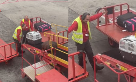 El momento en el que el trabajador recibe al perro