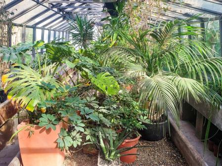 Jardines Ferran Soldevila.