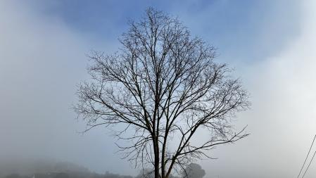 La niebla vallesana de Corró d’Amunt.