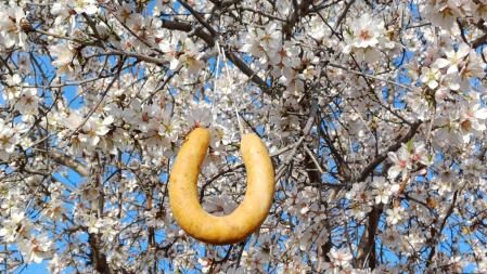 Butifarra de huevo colgada de un almendro en flor por el Dijous Gras.