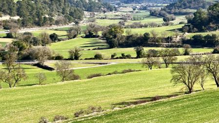 Campos verdes de Ribera d’Ondara.