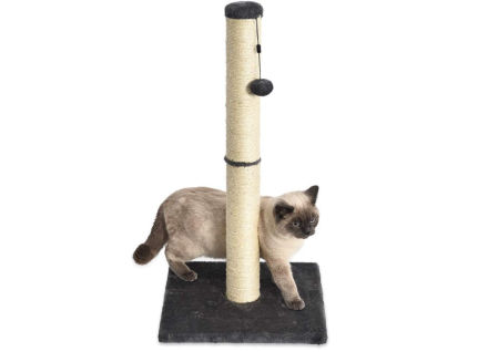 Poste rascador para gatos de Amazon Basics