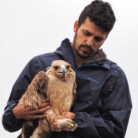 Xavi y el águila imperial Lluvia