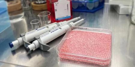 Las células de carne crecen a través de los granos porosos de arroz.