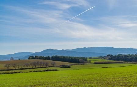 Campos verdes en Gallecs tras las últimas (pocas) lluvias.