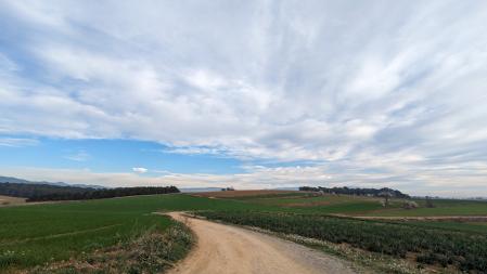 La primavera de febrero en Gallecs.