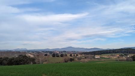 La primavera de febrero en Gallecs.