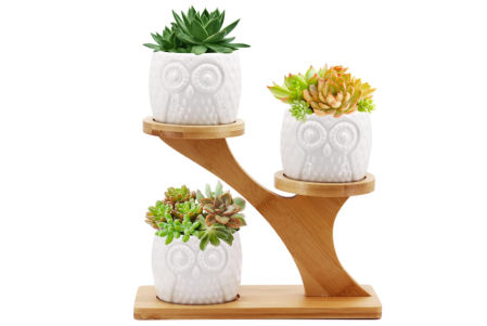 Macetas de cerámica con soporte de bandeja de bambú