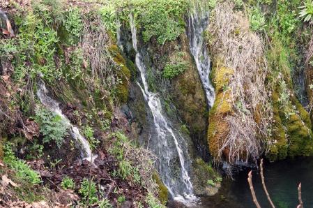 Agua abundante en Cercs.