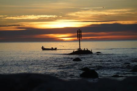 Cormoranes vigilando la barca de los pescadores.