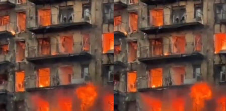 Las llamas que destruyeron los edificios en el barrio de Campanar también han atrapado a muchas mascotas