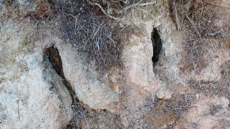 Fonts de Rellinars sin agua.